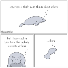 Anyone fancy joining me for a meme thread?