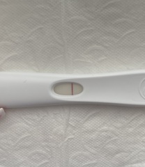 First response rapid result faint line
