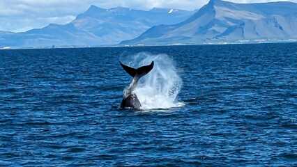 Thread 47- Covid GCSE Cohort - Summer's running away from us! 