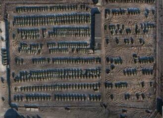 Ukraine Invasion: Part 43