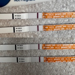 1DPO... Any tww buddies? 