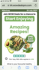 Site redirecting to an ad