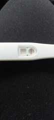 clearblue showing positive cheap test are all negative
