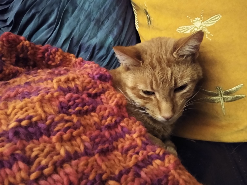 Thread 9 - TalkLair: “Russell's teapot goes on being round”