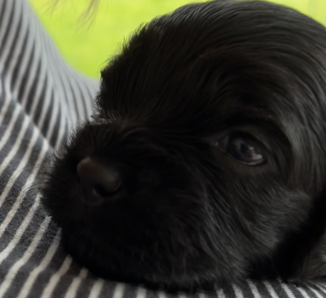 Meet Walter...