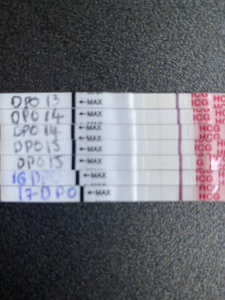 TWW 3DPO!