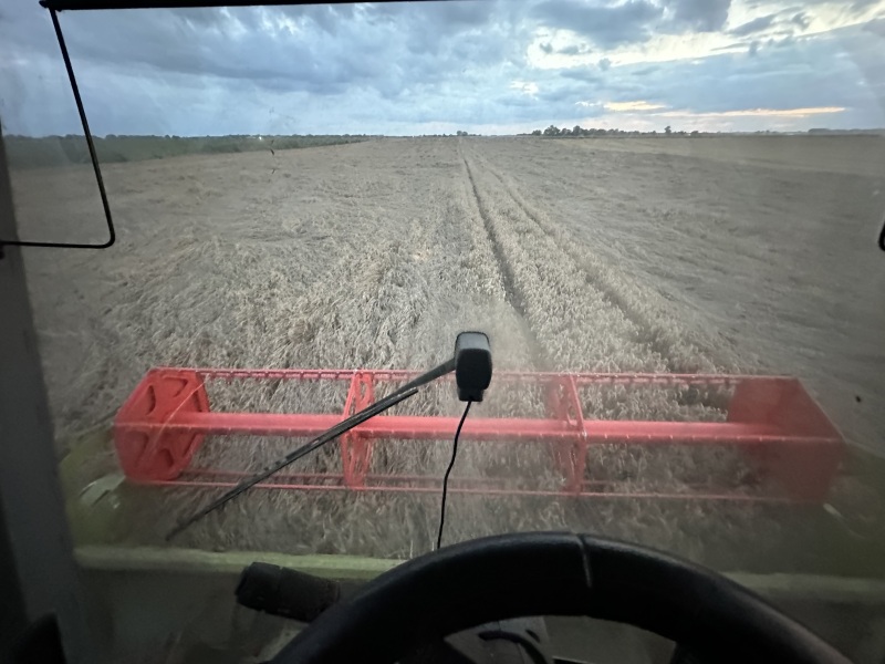 Primary school admissions - 14 miles apart