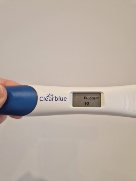 Whose trying to conceive baby no2 this year?