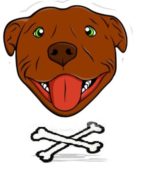 Timmy will be played by a border collie. Wrong. Just so wrong.
