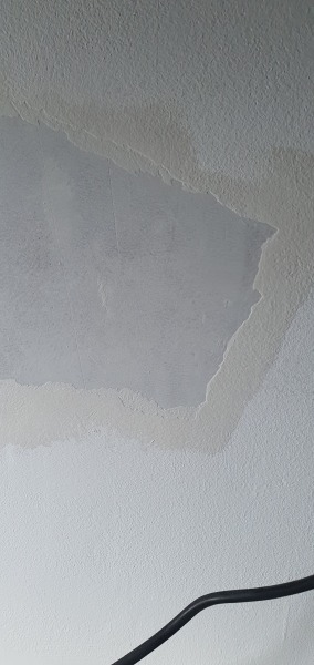 Does this need filler or plaster? (Piglet John or any others advice?)