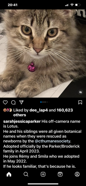 Sex and the Kitty! A follow on thread for those of us hate/love watching And Just Like That, Season 2