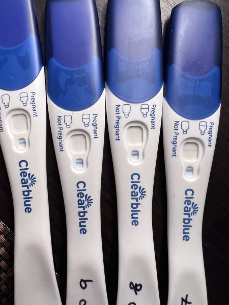 Clear blue test. Evap line or positive