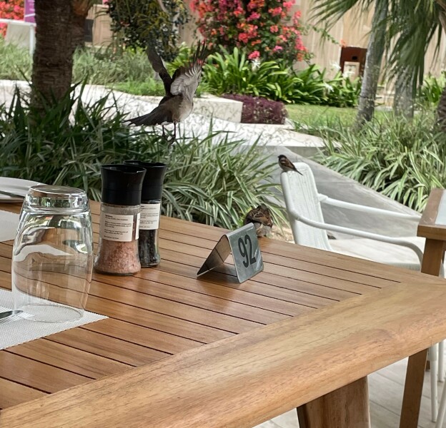 Cancer Support Thread 89 - the best thread that no one wants to be on.