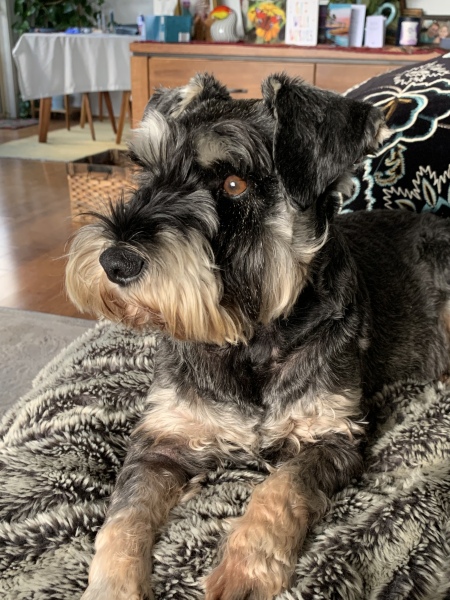 Cancer Support Thread 89 - the best thread that no one wants to be on.