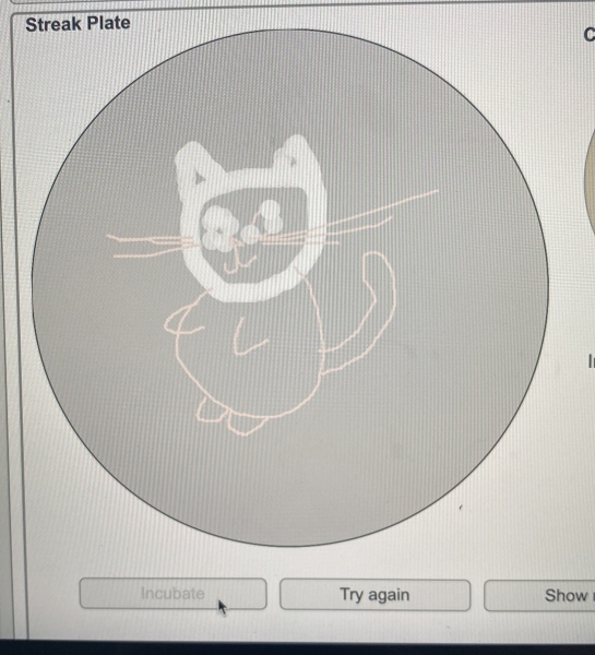 Thread 9 - TalkLair: “Russell's teapot goes on being round”