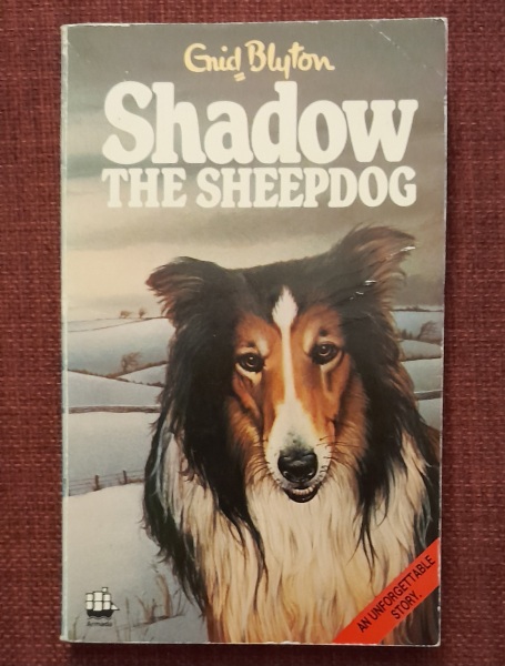 What was your favourite Enid Blyton book?