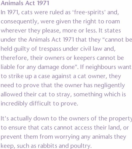 To break into my new neighbours house *THREAD 3: The Final Conundrum*