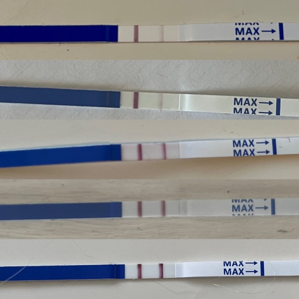 Test Progression