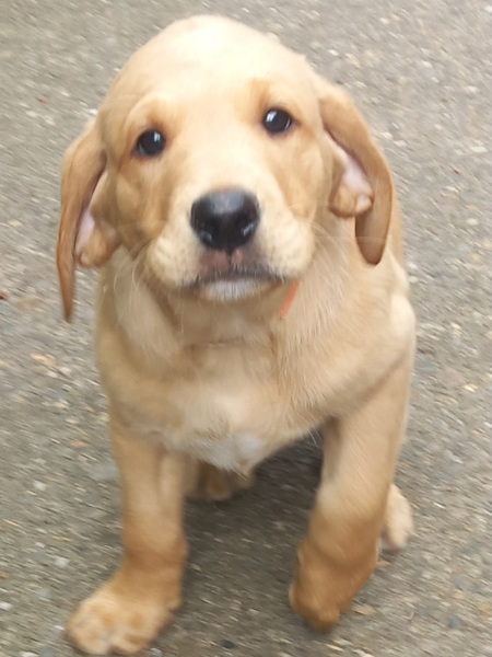 Meet Walter...
