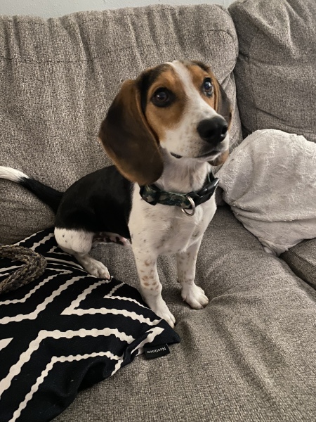 What should we named this little guy?