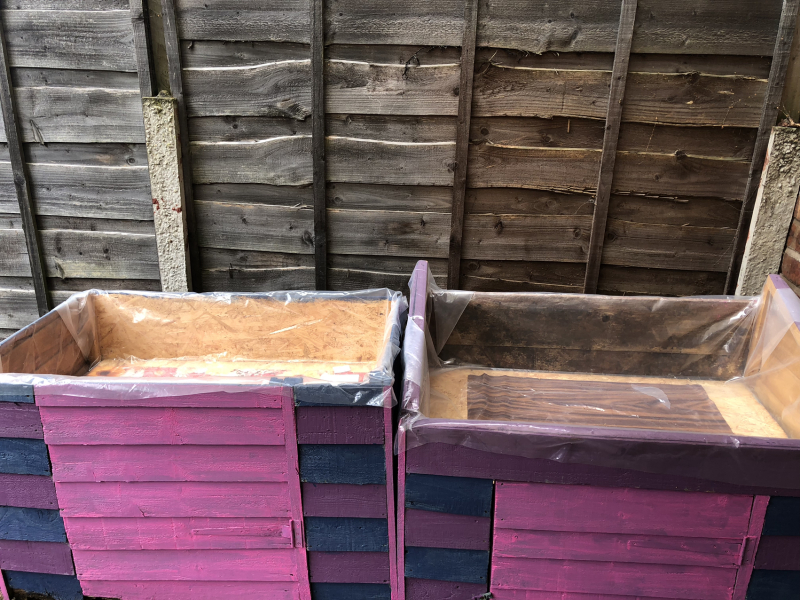 What have you done in the garden today? Part 3