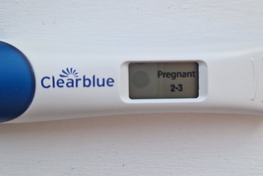 4 weeks pregnant / due April 2024