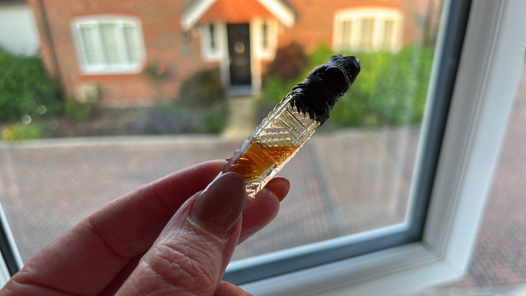 Want to know what perfume from 1800 smells like?