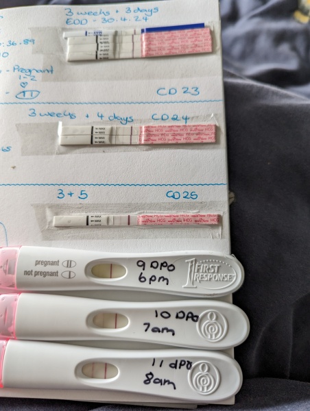 BFP 19/08/23 - anyone else?