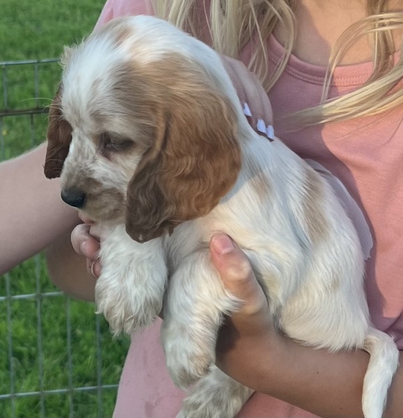 What would you name this little lady . . .