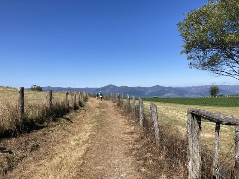 The Saxenda Sisterhood 