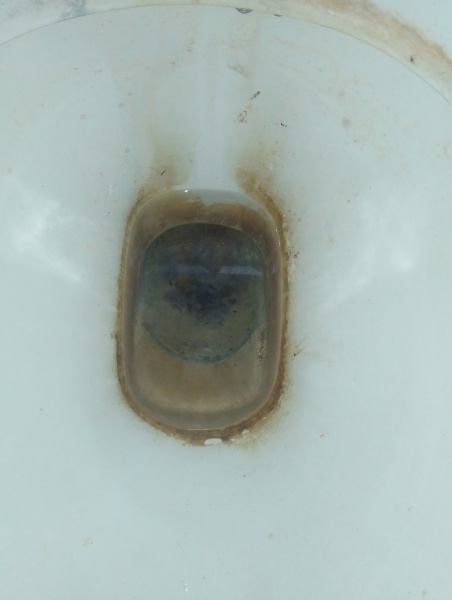 How can I clean this toilet? (Horrible photo!)