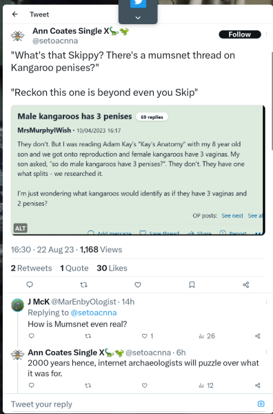Male kangaroos has 3 penises 