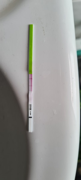 Would you say that this is a positive OPK?