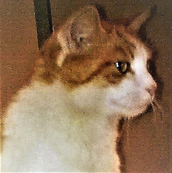 Further Adventures of the Excellent Cats