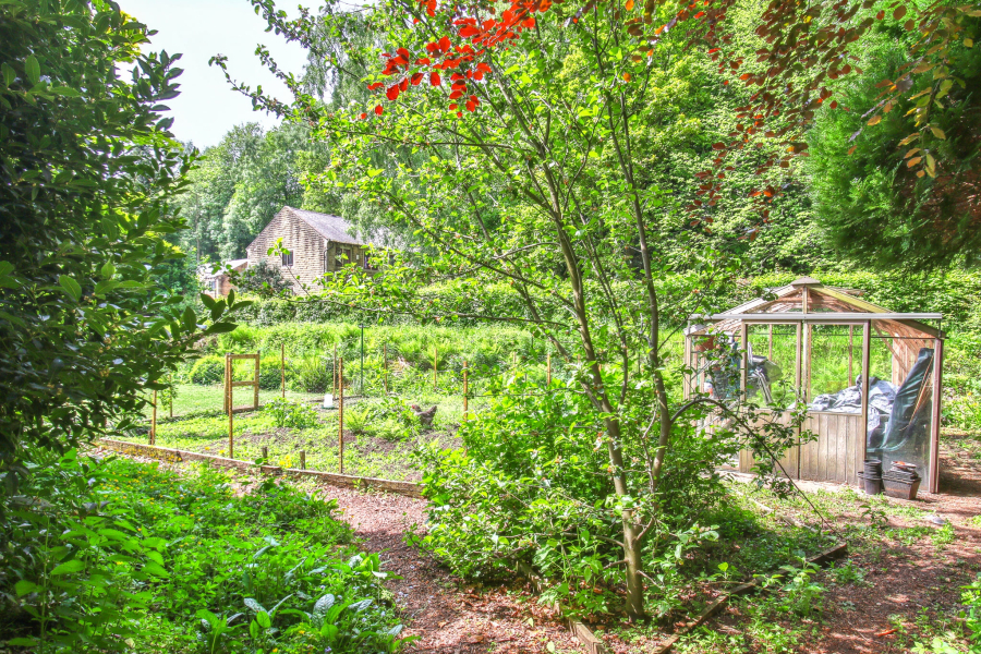 Complete novice needing advice