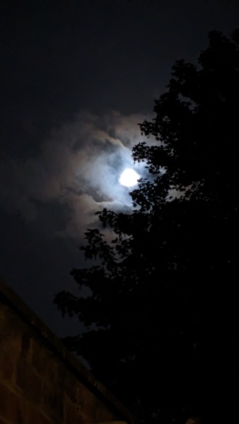 The Moon tonight