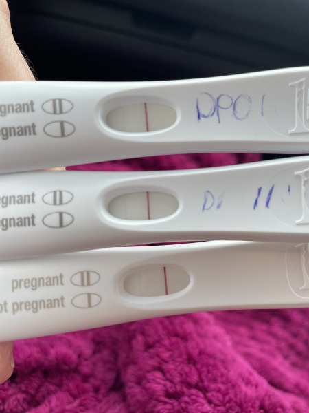 DPO 11/12 faint line still ..any success in pregnancy after?