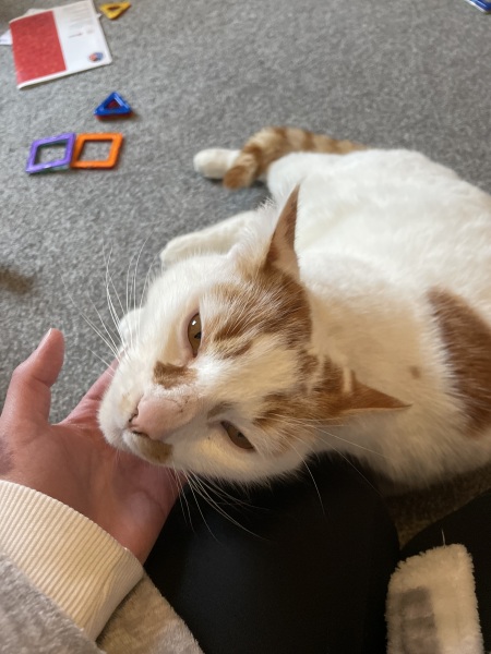 Cancer Support Thread 89 - the best thread that no one wants to be on.