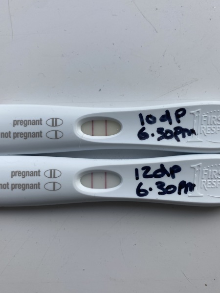 BFP 19/08/23 - anyone else?