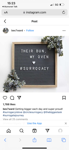 Another celebrity womb renter