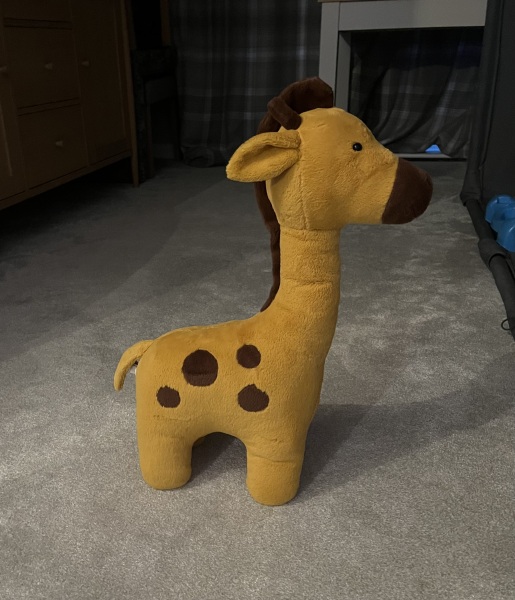 To ask if Jellycat soft toys are worth buying because of how expensive they are?