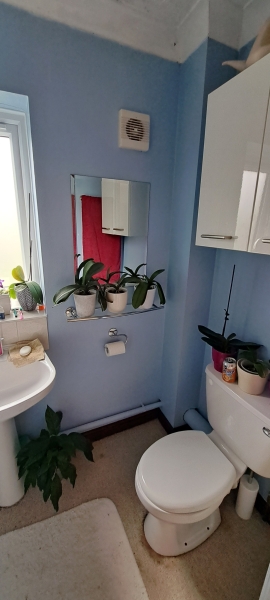 Bathroom - partially covering a window void for a shower - pictures?