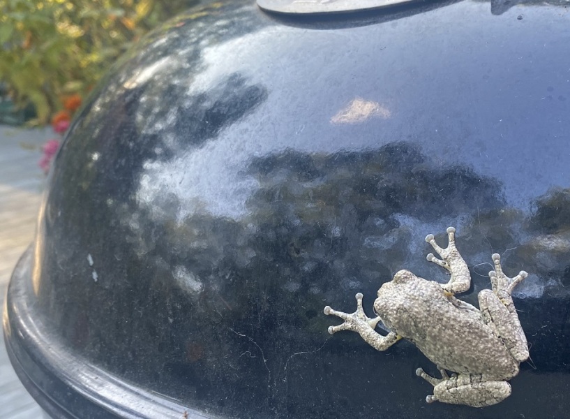 Come and tell me your dull and unexciting news 26: Calmly through the day 