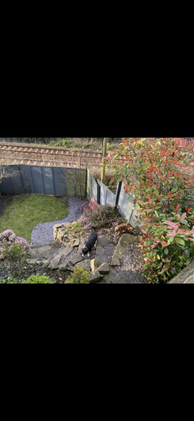 Should we consider buying houses very very close to Train Tracks?