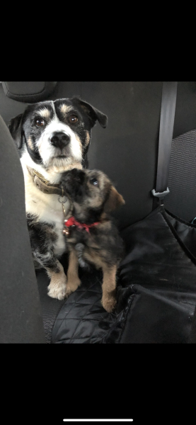 Cancer Support Thread 89 - the best thread that no one wants to be on.