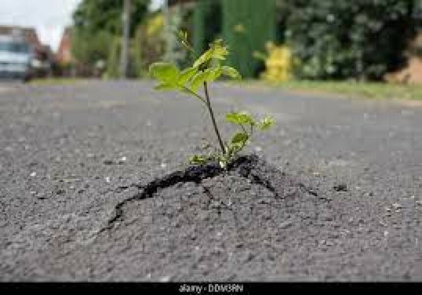 Any Witches Here?- Part 19