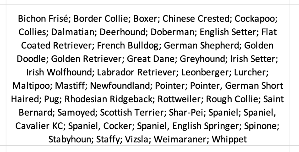 Dog breeds that lean (on people) - do you know any?