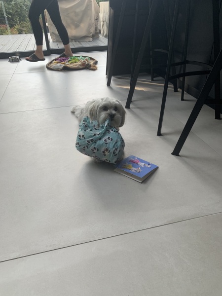 Puppy survival thread part 2