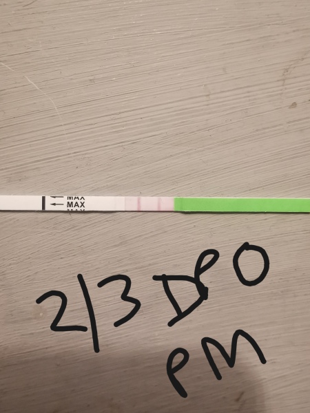 1DPO... Any tww buddies? 