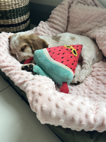 What would you name this little lady . . .